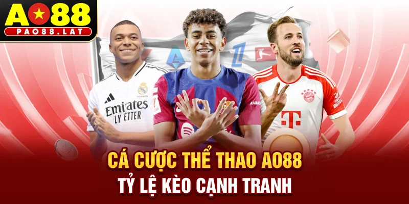 Cá Cược Thể Thao AO88 Tỷ Lệ Kèo Cạnh Tranh