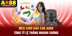 Mẹo Chơi Bầu Cua Ao88 – Tăng Tỷ Lệ Thắng Nhanh Chóng